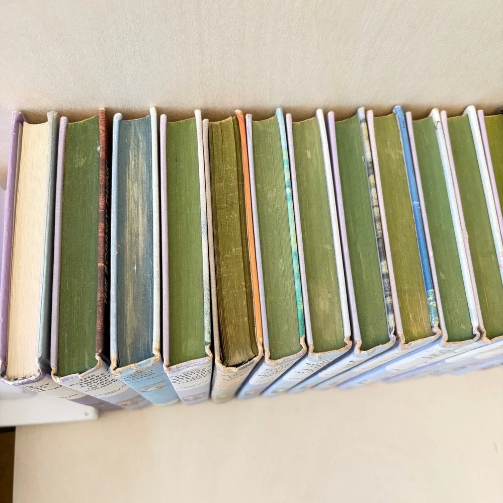 Bobbsey Twins Lot of 37 Book Set Vintage Hardcover Kids Mystery Series Nostalgic